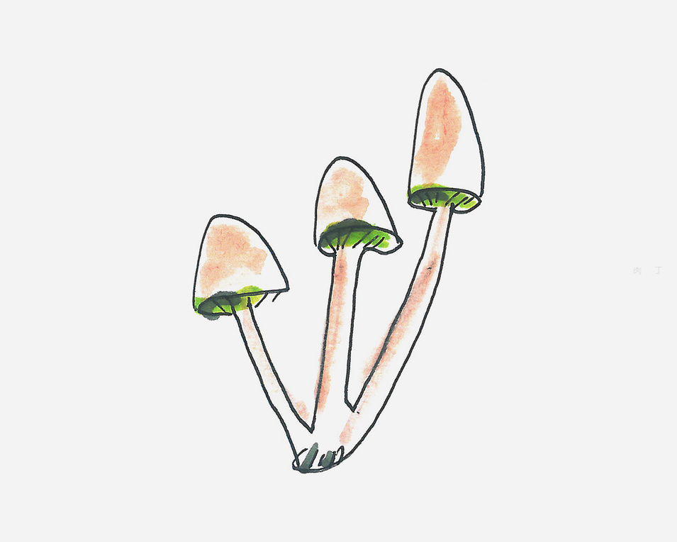 画一个漂亮的小蘑菇