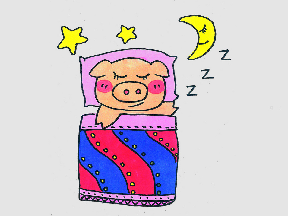 正在睡觉的猪简笔画