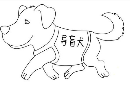 黑白导盲犬简笔画过程