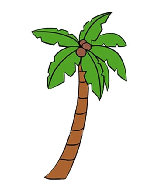 儿童画椰子树的画法
