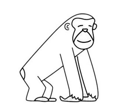 可爱的小猩猩简笔画图片大全