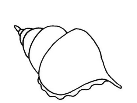 海螺的画法简笔画