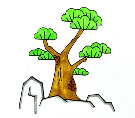 如何画松树的简笔画画法