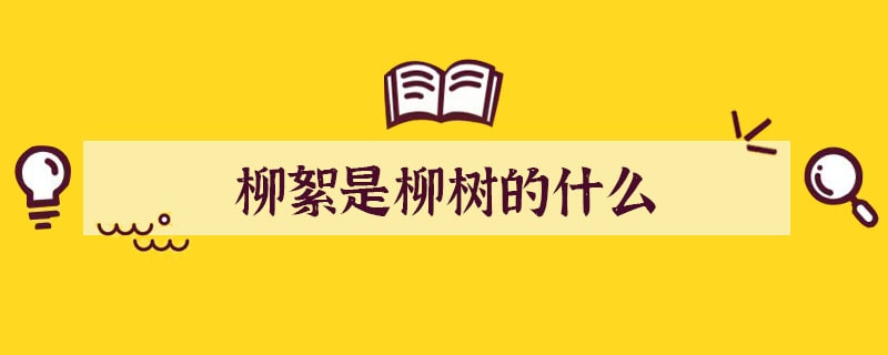 柳絮是柳树的哪一部分