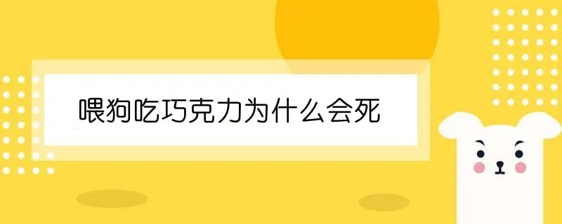 为什么狗吃巧克力会死亡