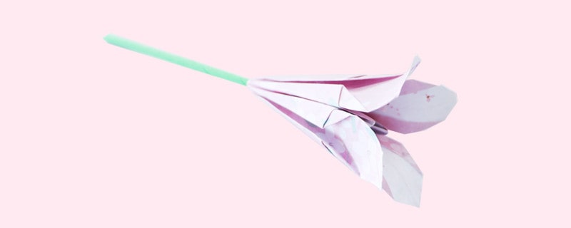最美的折纸花怎么折