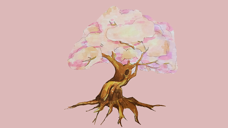 樱花树怎么画简单又好看