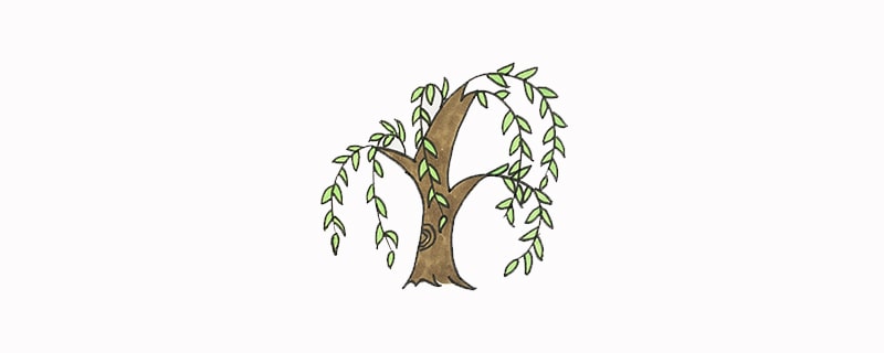 画柳树一步一步的画简单的怎么画