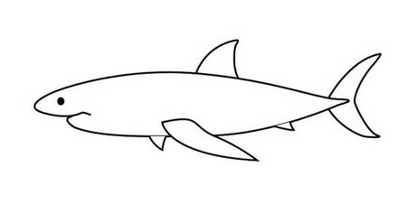 最简单的大白鲨怎么画