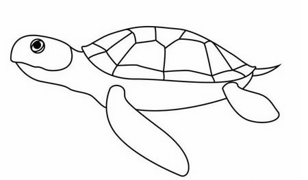 铅笔画的海龟怎么画