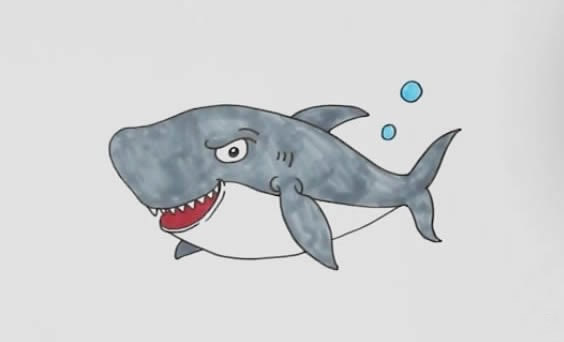 简笔画鲨鱼的画法步骤