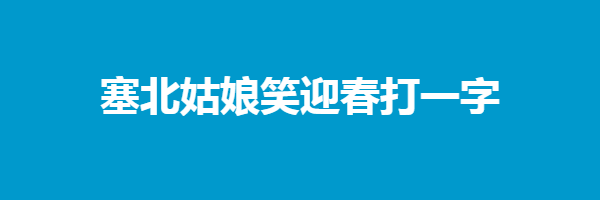 塞北姑娘笑迎春打一字谜底解释