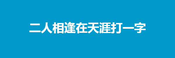 二人相逢在天涯打一字谜底