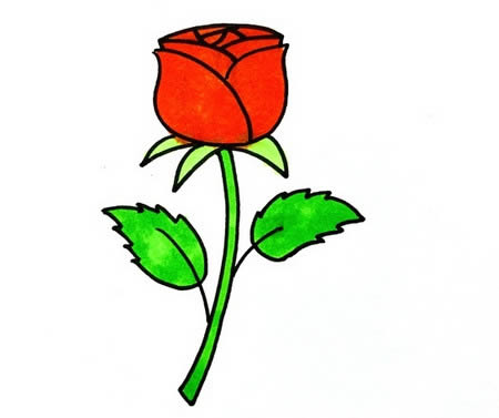 一朵美丽的玫瑰花简笔画