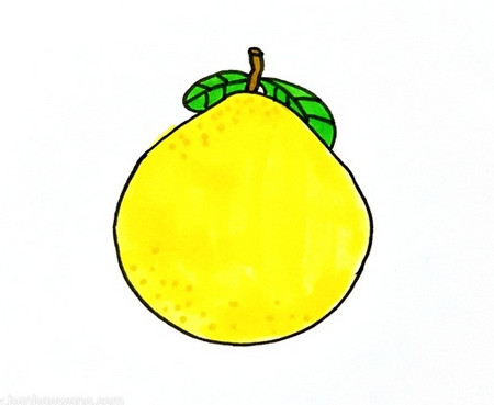 一个柚子怎么画