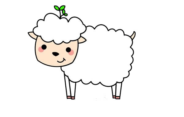 超可爱小绵羊的简单画法