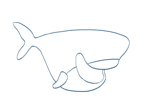 萌萌的鲨鱼简笔画怎么画好看