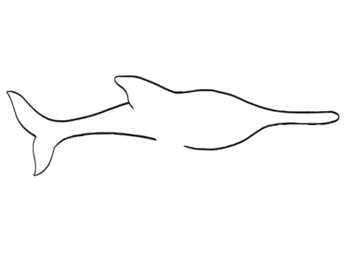 锯鲨的简笔画怎么画好看又漂亮