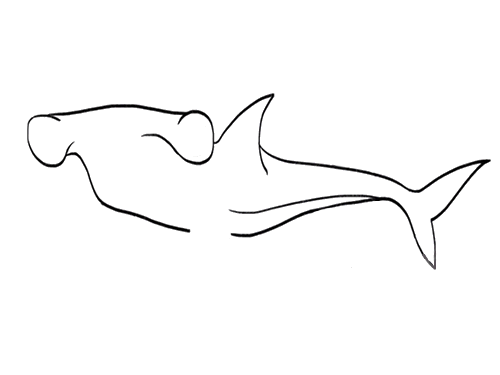 双髻鲨的简笔画最可怕怎么画